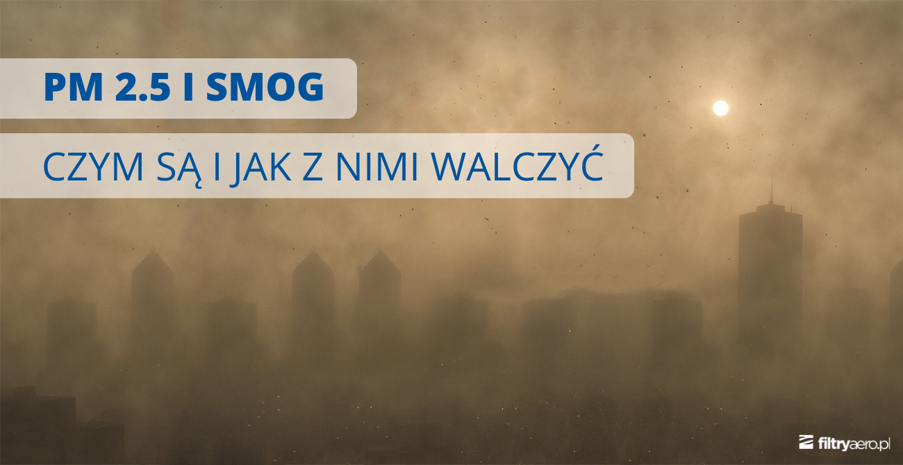 Panorama miasta z wieżowcami przykryta gęstym, brązowym smogiem pod zamglonym słońcem. Na obrazku znajdują się napisy: „PM 2.5 I SMOG” oraz „CZYM SĄ I JAK Z NIMI WALCZYĆ”.